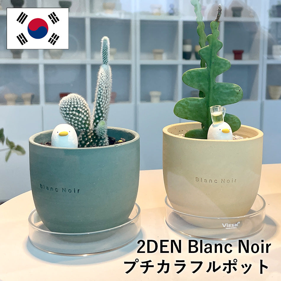 2DEN Blanc Noir プチカラフルポット 7カラー ブランノワール プランター ストーン おしゃれ 多肉植物鉢 観葉植物 植木鉢 鉢 幼苗鉢 鉢 底穴あり 韓国陶磁器