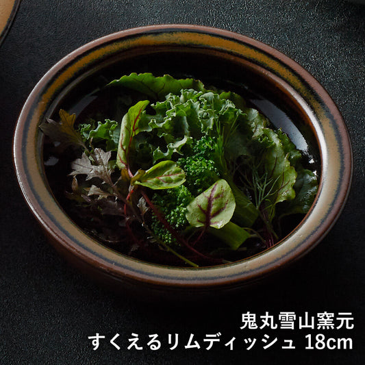 カレー皿 すくえるリムディッシュ 高取焼 高取焼き シチュー皿 18cm 高取焼鬼丸雪山窯元 陶器 食器 器