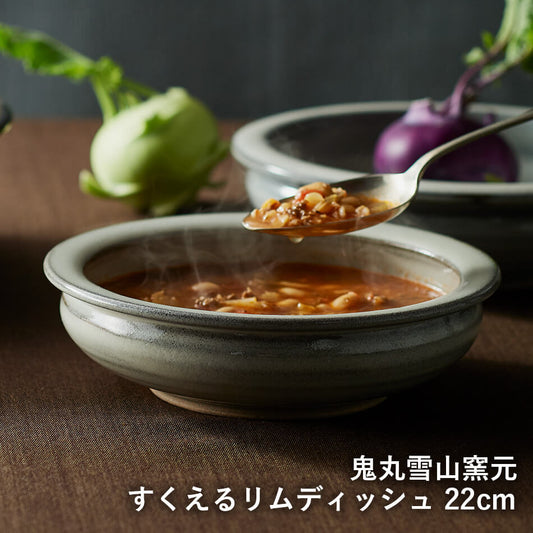 カレー皿 すくえるリムディッシュ 高取焼 高取焼き シチュー皿 22cm 高取焼鬼丸雪山窯元 陶器 食器 器